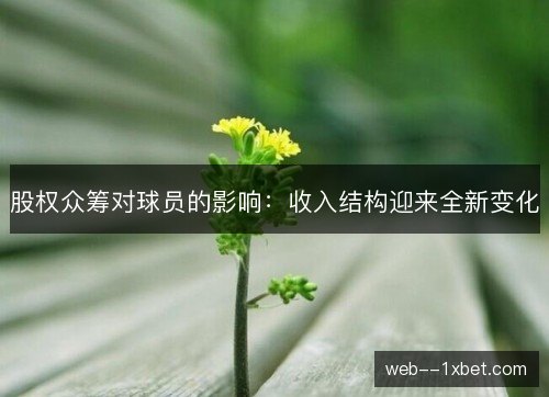 股权众筹对球员的影响：收入结构迎来全新变化